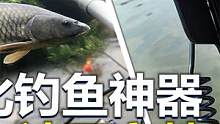可视化钓鱼神器，为什么被国家禁用？看看危害就明白了