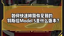 如何快速辨别你见到的特斯拉Model S是什么版本？#特斯拉 #新能源领航计划 #进博会