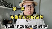 【布鲁斯口琴paddy调音】第一课 口琴的保养