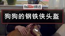 工程学高材生的万圣节有多任性——大佬自己动手设计，给狗狗定制了一副钢铁侠头盔。狗子：从今天起，全城的
