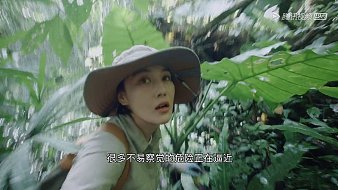 我是一顆小虎牙42637虎牙文化直播_我是一顆小虎牙42637視頻直播 - 虎牙直播