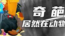 奇葩物体居然在动物体内被发现（2）