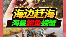 海边赶海偶遇鲍鱼池，收获颇丰遍地海星，最后收获2只大头鲍鱼 #捉螃蟹 #赶海 #宠物 