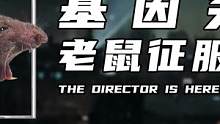 基因突变，老鼠征服纽约（2）