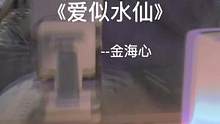 “每个人都很忙奔赴着不同人生 ”#唱歌给你听 #爱似水仙 #翻唱