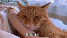 一只大橘猫的起床气～