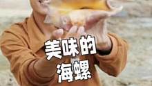今天来到了一个好地方，意外收货超大海螺 ，做了一顿美味晚餐#赶海 #美食vlog  #海边生活#微拍
