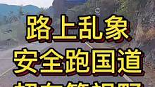 路上乱象：安全跑国道 超车等视野#大成驾道教练联盟 #智驾驶手册 #专业的事交给专业的人 