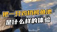 把一只鸡扔鳄鱼池是什么样的体验#鳄珍 