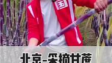 北京还有采摘甘蔗的地方，真是太有意思了！#旅行大玩家 #北京周边田园采摘好去处 #搜索流量来了 #北