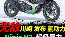 川崎再封神，推出氢动力Ninja H2 #摩托车 #机车#川崎h2 