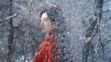 雪地配上汉服 大雪将至 这个冬天你会过的怎样#这个冬天你会遇到心软的神吗 #十五国风盛典 #国风古韵