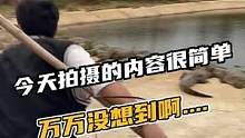 今天拍摄的内容很简单，万万没想到啊结局会这样#鳄珍 #鳄鱼 #鳄鱼养殖场 #万万没想到