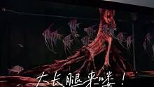 大长腿来喽 #埃及神仙鱼 #水族 #养鱼日记