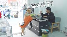 狗狗带10元上门赎猫，宠物店主出手诱惑，可怜狗狗被困囚笼