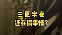 三更半夜的，还在搞小动作……
好吧，我丑我先睡，你们继续……
#热带鱼 #神奇动物在抖音 #观赏鱼 