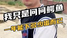 我只是问问鳄鱼一年能下多少蛋而已，为啥要拿棍子打我。#鳄珍 #鳄鱼养殖场 #鳄鱼