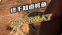 终于知道鳄鱼为什么怕女人了#鳄珍 #鳄鱼