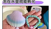 七彩贝壳#盲盒，泡在水里就能孵化，里面的小动物泡水还能越长越大，可真是有意思#儿童玩具#抖in宝贝计