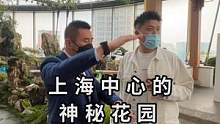 今天带兄弟们探秘上海中心神秘花园！