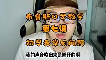 布鲁斯口琴教学 第七课 初学者常见问题
