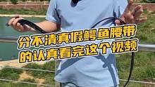 还分不清真假鳄鱼腰带的认真看完这个视频#鳄珍 