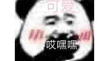 被八哥包养什么感觉 #八哥