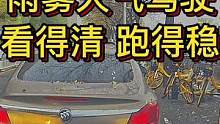 雨雾天气驾驶 看得清跑得稳##大成驾道教练联盟 #智驾驶手册 #专业的事交给专业的人 