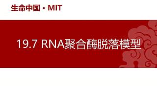【分子生物学】19.7 RNA聚合酶脱落模型