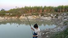 小丫野钓收获三条小鱼，到小明鱼塘想换大货，结果悲催了