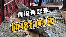 有没有想来钓鳄鱼的#鳄珍 