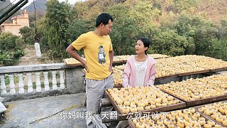 小勇叫小凤留在桂林过年，把卖柿饼的钱给我拿，勇妈会同意吗