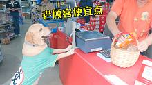 狗狗超市独立买肠，心大找路人炫耀，自己却被拐跑