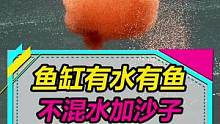 鱼缸有水有鱼，如何添加沙子水草泥不混水~#水族 #鱼缸造景 