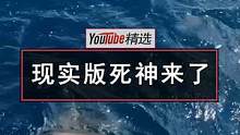 夏威夷海域，潜水安全员刚要下水探查海情，一头虎鲨迅速从深水隐藏中窜出......这是什么现实版死神来