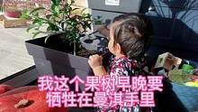 这个小捣蛋天天盯着我这颗果树、我感觉早晚得毁在她手里#双11好物节 #氨基酸态氮#洗面奶种草 #平价