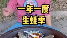 这个季节的生蚝都是顶盖肥啦！#海鲜原产地 #生蚝