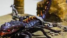 困在沙漠里的蝎子 #手工 #创意 #diy #微缩模型