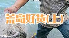荒岛上海鲜丰富连抓好货，发现张破烂渔网有惊喜，困住一堆值钱鱼（上）