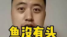鱼没有头还能活吗？ #鱼坚强 #黄金眼镜蛇雷龙 #无头鱼