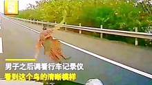 男子开奔驰上高速，突然前挡风玻璃被撞碎，回看记录仪懵了，这是
啥鸟？#这是啥鸟##危险瞬间 #监控下