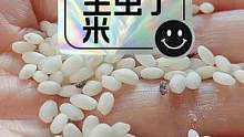 才离开一个月，米里就生了一堆虫子，看我的除虫方法怎么样 #五谷杂粮 #生活小妙招 #米生虫怎么办 #