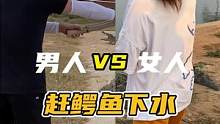 男人VS女人赶鳄鱼#鳄珍 #鳄鱼 #鳄鱼养殖场