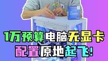 一万预算配电脑 还不要显卡 那配置不得起飞了啊#电脑 #diy电脑 #电脑配置 #装机伐木累 #电脑