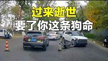 过来逝世，要了你这条狗命 #开车大神 #交通事故 #汽车 #翻车君 #考驾照