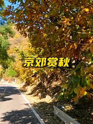 京郊自驾赏秋，找到了一条人少车少红叶多的秘密路，这周秋色正浓 #自驾游 #最美的风景在路上 #旅行大