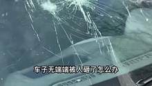 车子被人砸了，怎么办，正确处理流程#汽车知识 #用车知识