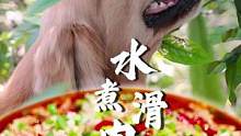 11月的枝头柠檬正清香扑鼻，腌制出来的的水煮滑肉，麻辣鲜香，肉质滑嫩，太下饭了，巴适得很！#金毛路虎