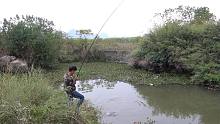野钓：不起眼的农村小河沟，小明下杆抛中鱼窝，甩杆真过瘾