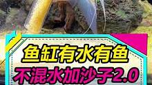 鱼缸有水有鱼，添加沙子水草泥不混水的方法2.0~#水族 #鱼缸造景 